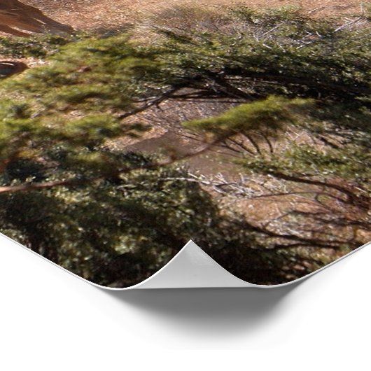 Drie cowboys die runderen besturen poster (Hoek)