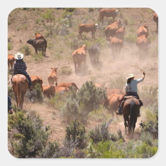 Drie cowboys die runderen besturen vierkante sticker (Voorkant)