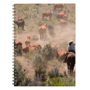 Drie cowboys en cowgirls die vee drijven notitieboek