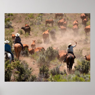 Drie cowboys en cowgirls die vee drijven poster
