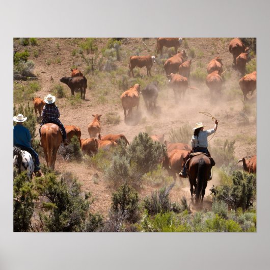 Drie cowboys en cowgirls die vee drijven poster (Voorkant)