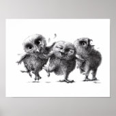 Drie Crazy Owls - Corujas - Witte sneeuwowl Poster (Voorkant)