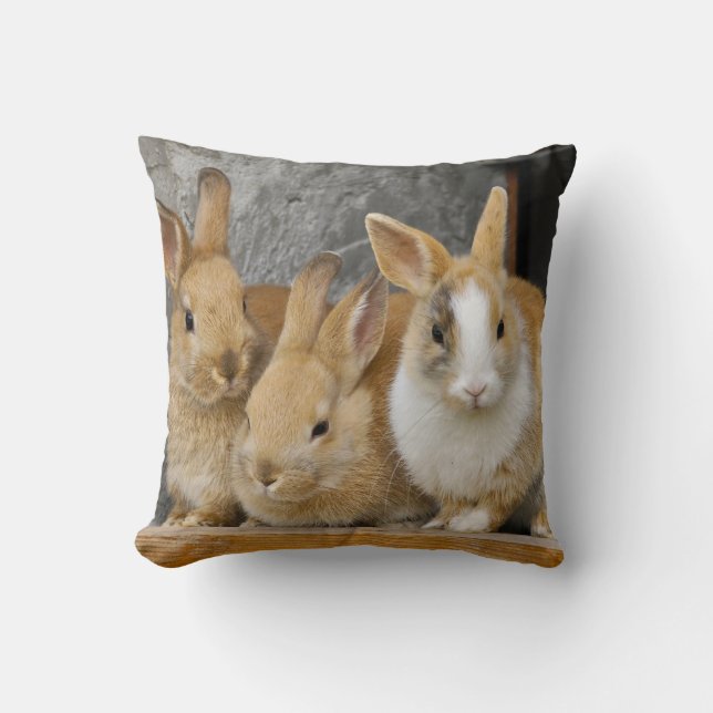 Drie Cute Baby Bunny Rabbits Kussen (Voorkant)
