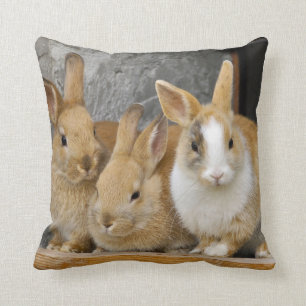Drie Cute Baby Bunny Rabbits Kussen