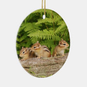 Drie Cute Baby Chipmunks Keramisch Ornament (Rechts)