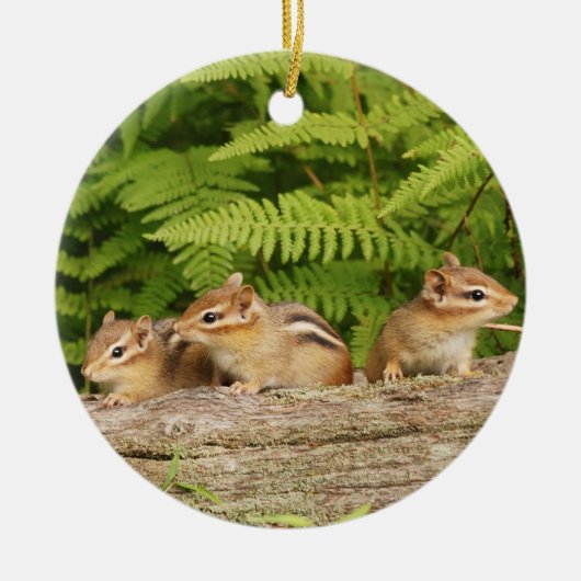 Drie Cute Baby Chipmunks Keramisch Ornament (Voorkant)