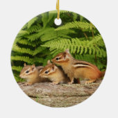 Drie Cute Baby Chipmunks Keramisch Ornament (Achterkant)