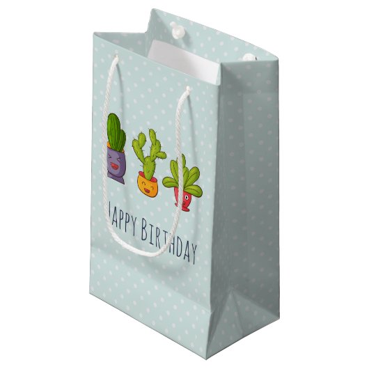 Drie Cute Cactus in Flower Pots Fun Birthday Klein Cadeauzakje (Voorkant Gekanteld)