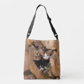 Drie Cute Curious Cat Kittens Funny Foto - on Crossbody Tas (Achterkant)