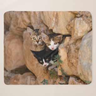 Drie Cute Curious Cat Kittens wordt met grappige f Sherpa Deken
