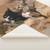 Drie Cute Curious Cat Kittens ziet een grappige fo Sherpa Deken (3/4)