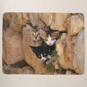 Drie Cute Curious Cat Kittens ziet een grappige fo Sherpa Deken