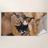 Drie Cute Curious Cat Kittens ziet een grappige fo Strandlaken (Voorkant)