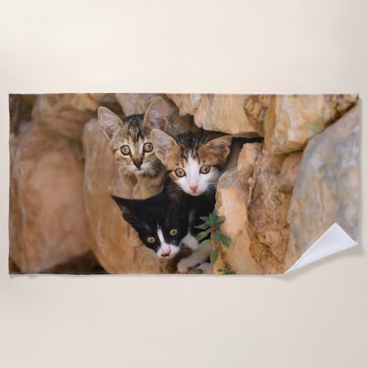 Drie Cute Curious Cat Kittens ziet een grappige fo Strandlaken (Voorkant)