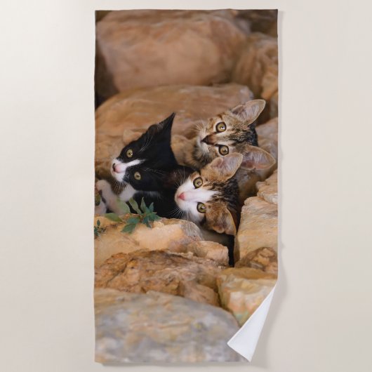 Drie Cute Curious Cat Kittens ziet een grappige fo Strandlaken (Voorkant)