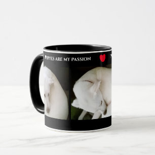 Drie Cute Foto's van een mooie witte hond Black Mok