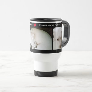 Drie Cute Foto's van een mooie witte hond Black Reisbeker