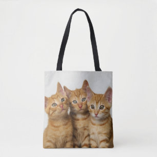 Drie Cute Ginger Cat Kittens Foto op Shopper Tote Bag