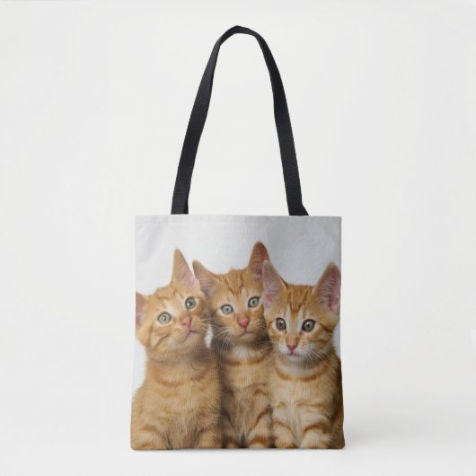 Drie Cute Ginger Cat Kittens Foto op Shopper Tote Bag (Voorkant)