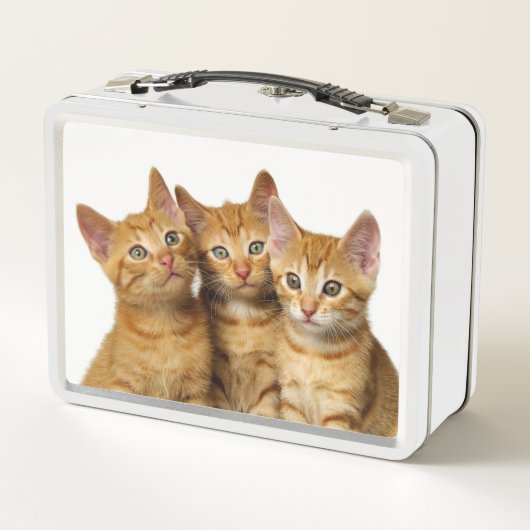 Drie Cute Ginger Cat Kittens Friends Head Foto / (Achterkant)