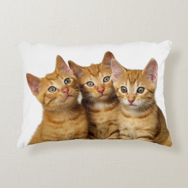 Drie Cute Ginger Cat Kittens Friends Head Foto - Accent Kussen (Voorkant)