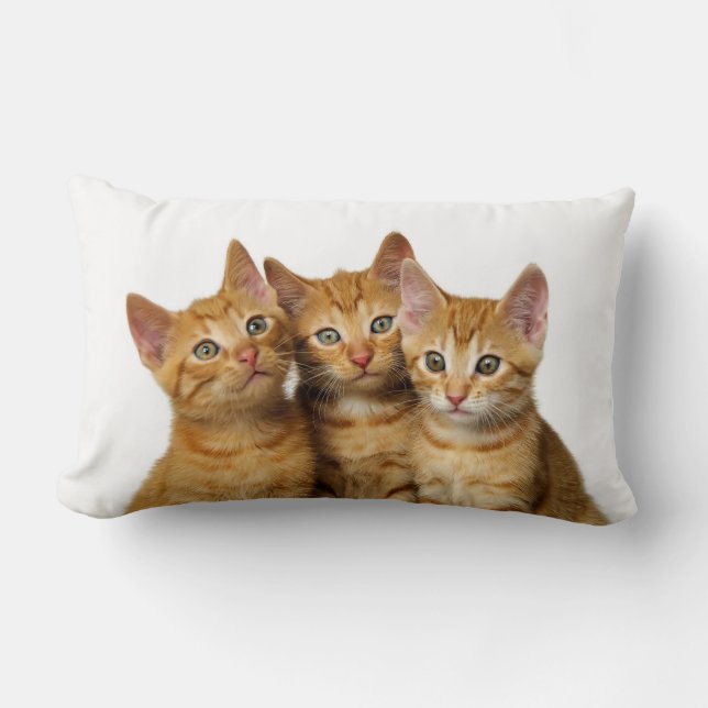 Drie Cute Ginger Cat Kittens Friends Head Foto - Kussen (Voorkant)