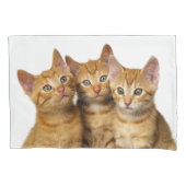 Drie Cute Ginger Cat Kittens Friends Head Foto - Kussensloop (Voorkant)