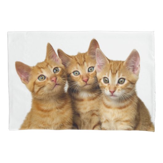 Drie Cute Ginger Cat Kittens Friends Head Foto - Kussensloop (Voorkant)