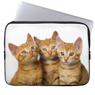 Drie Cute Ginger Cat Kittens Friends Head Foto - Laptop Sleeve