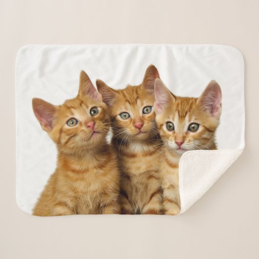 Drie Cute Ginger Cat Kittens Friends Head Foto - Sherpa Deken (Voorkant (horizontaal))