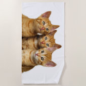 Drie Cute Ginger Cat Kittens Friends Head Foto, Strandlaken (Voorkant)