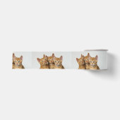 Drie Cute Ginger Cat Kittens samen - foto van Pet Grosgrain Lint (Voorkant)
