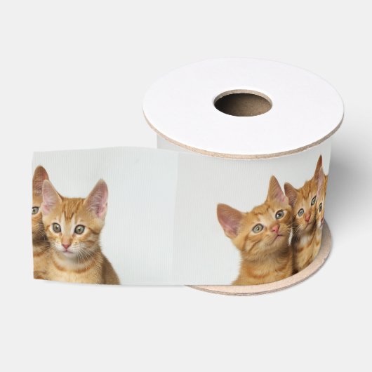 Drie Cute Ginger Cat Kittens samen - foto van Pet Grosgrain Lint (Spoel)