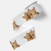 Drie Cute Ginger Cat Kittens samen - foto van Pet Grosgrain Lint (Achterkant)