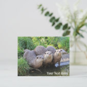 Drie Cute Otters Wildlife Fotografie Briefkaart (Staand voorkant)
