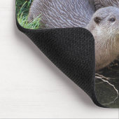 Drie Cute Otters Wildlife Fotografie Muismat (Hoek)
