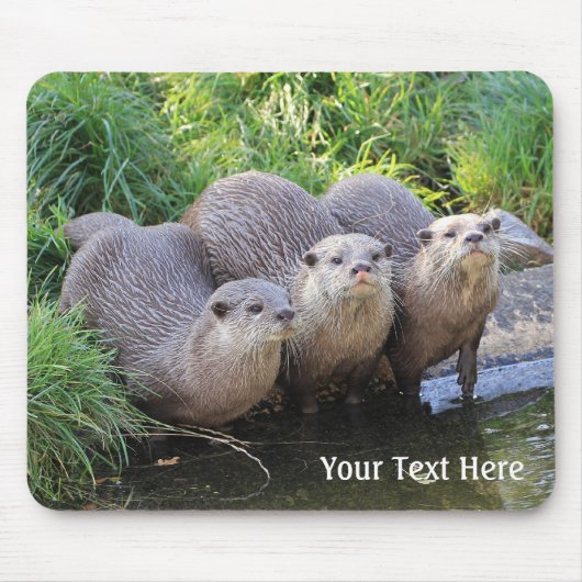 Drie Cute Otters Wildlife Fotografie Muismat (Voorkant)