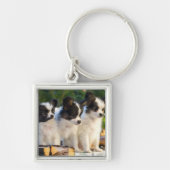 Drie Cute Papillon-Puppies op een tuinbank Sleutelhanger (Voorkant)
