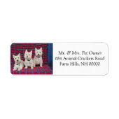 Drie Cute Puppies Return Address Mail Stickers (Voorkant)