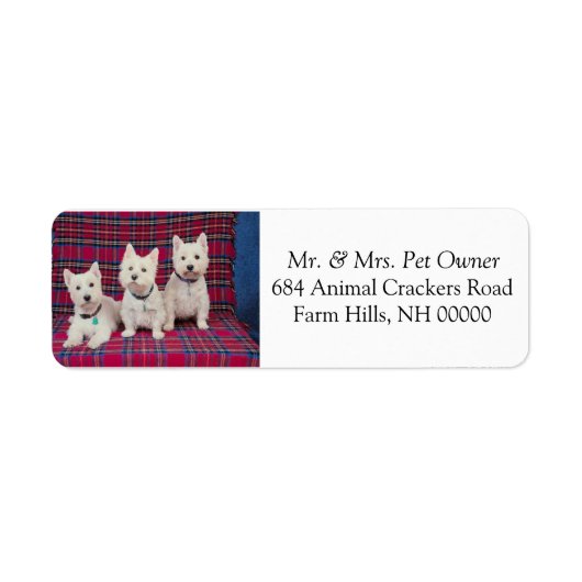 Drie Cute Puppies Return Address Mail Stickers (Voorkant)