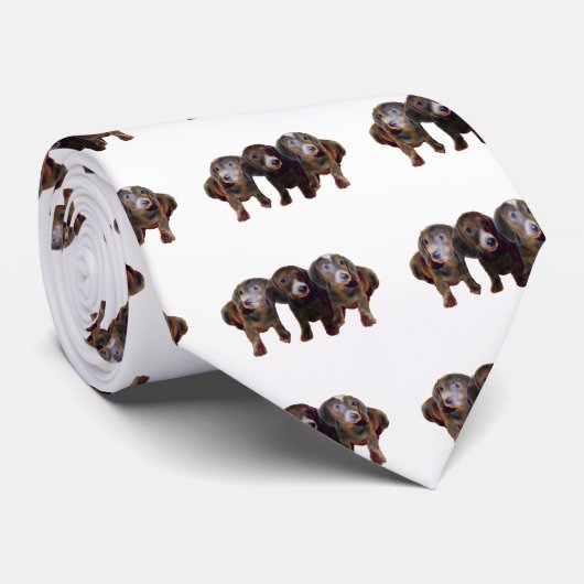 Drie Dachshund Dogs Stropdas (Opgerold)