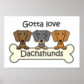 Drie Dachshunds Poster (Voorkant)