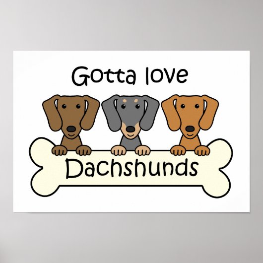 Drie Dachshunds Poster (Voorkant)