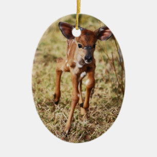 Drie dagen oud baby Nyala hert Keramisch Ornament