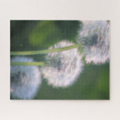 Drie Dandelion Blooms schilderen Legpuzzel (Horizontaal)