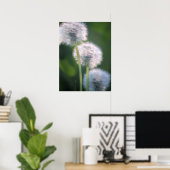 Drie Dandelion Blooms schilderen Poster (Thuiskantoor)