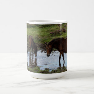 Drie dartmoor-ponies Drink in watering Koffiemok