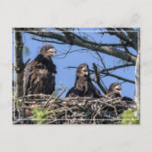 Drie dezelfde briefkaart (Voorkant)