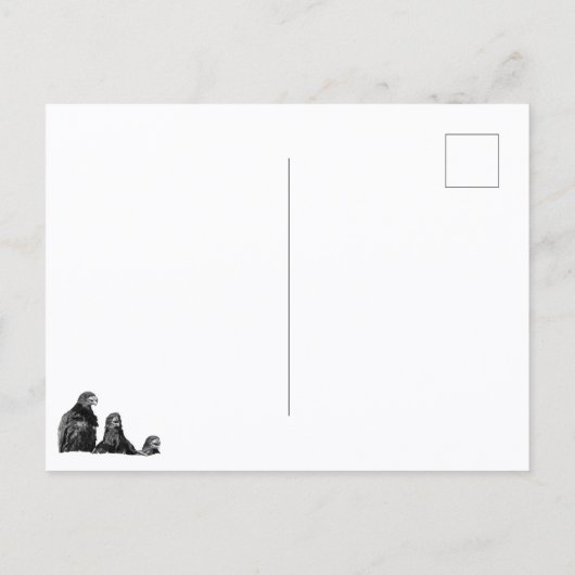 Drie dezelfde briefkaart (Achterkant)