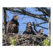 Drie dezelfde foto afdruk (Voorkant)